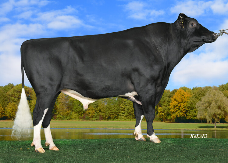 GLADIUS EX 91